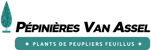 Logo Pépinières Van Assel